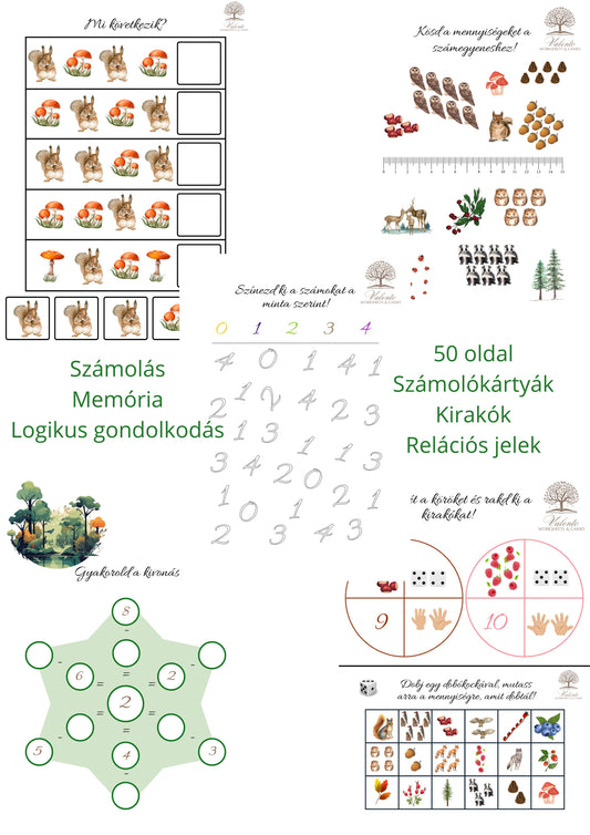 Erdei állatok - Számolási készség és logikus gondolkodás fejlesztése - Óvodásoknak és elsősöknek